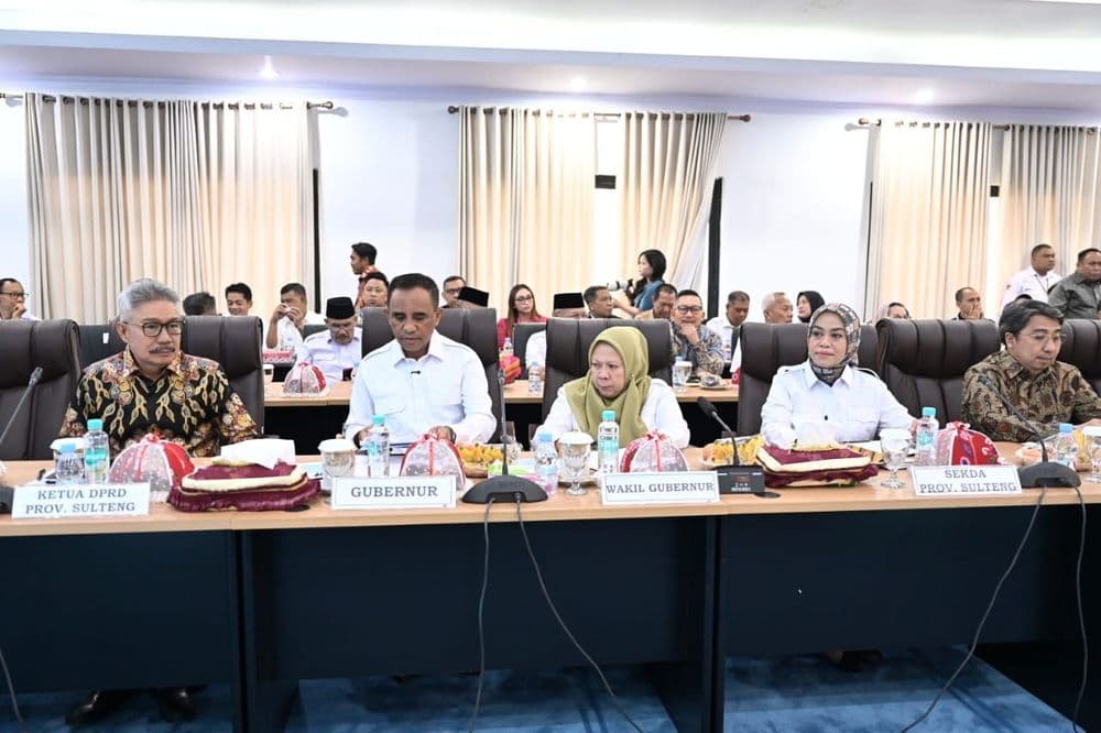 Ketua Komisi II DPRD Sulteng Tekankan Keadilan Dana Bagi Hasil dalam Rapat bersama Banggar DPR RI